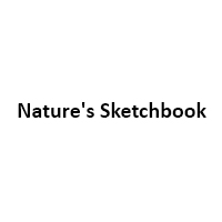 Nature's Sketchbook
