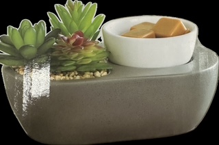 Artscents Wax Warmer - Succulent