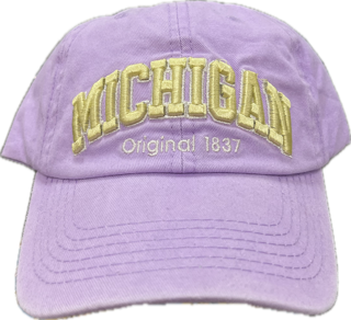 Robin Ruth Michigan Baseball Hat - Violet